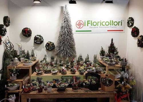 Fiere ed eventi