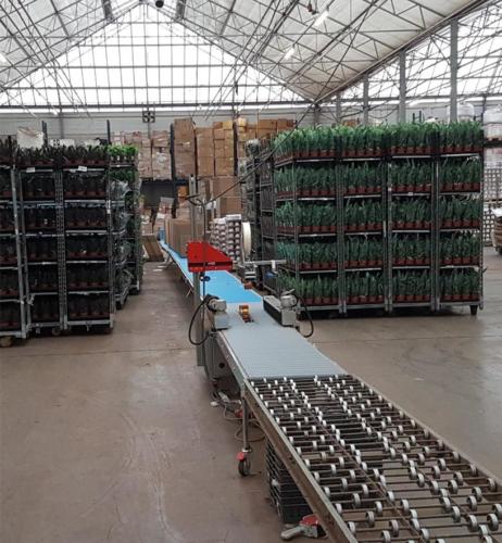 Le nostre linee di produzione 1